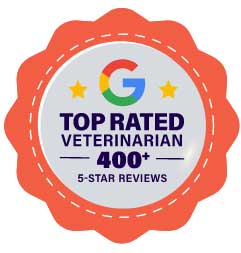 Top Rated Veterinarian