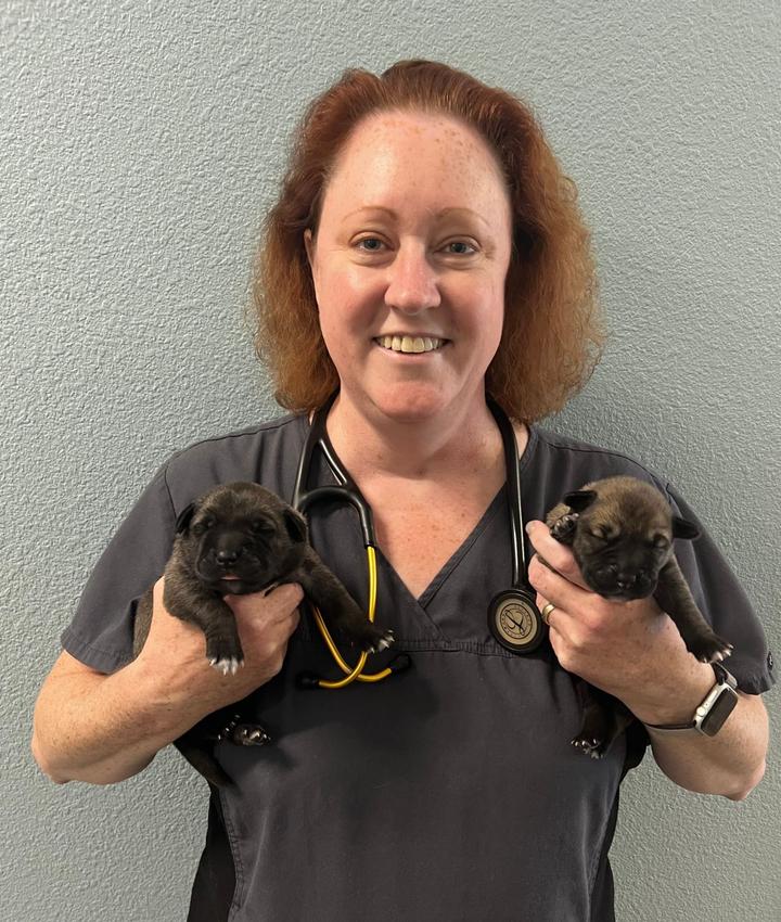 Nicole K. Avci, DVM